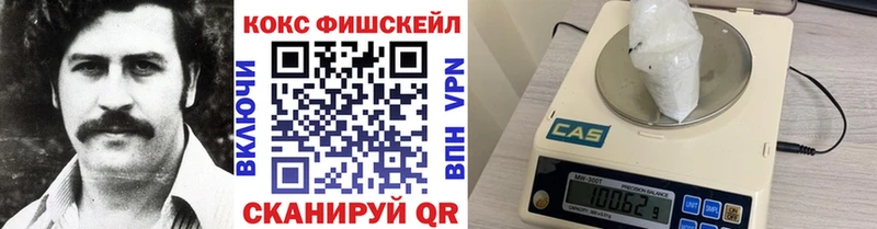 закладки  Пучеж  Cocaine FishScale 