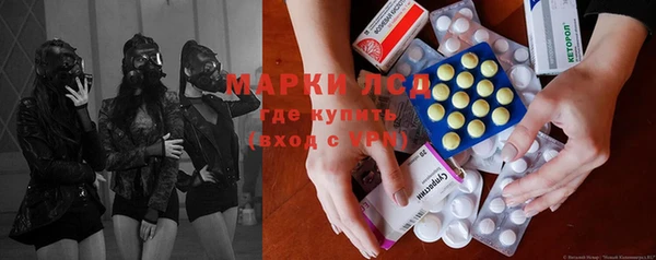 прущие грибы Армянск