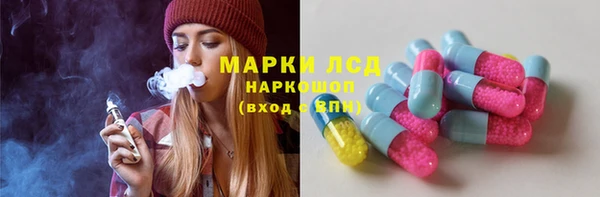 прущие грибы Армянск